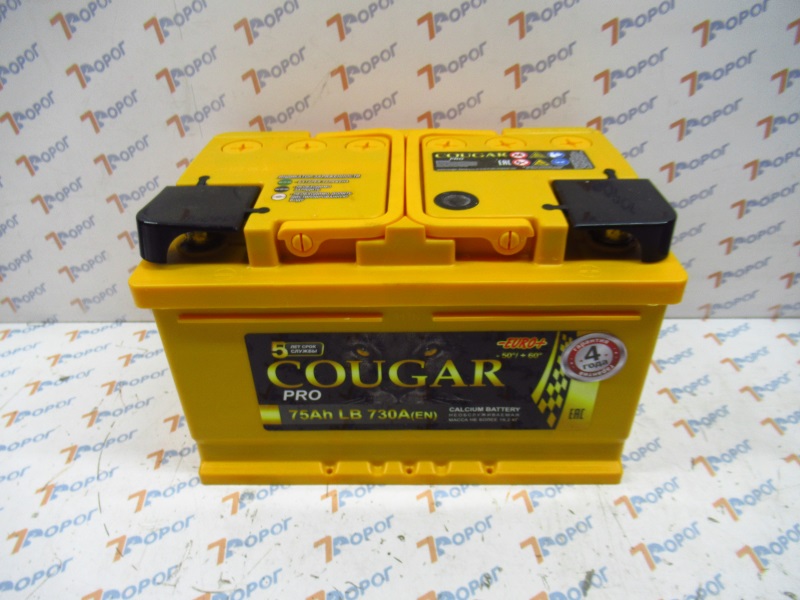 Аккумулятор COUGAR PRO 75Ач 750А (о/п) низ. 278*175*175 мм 