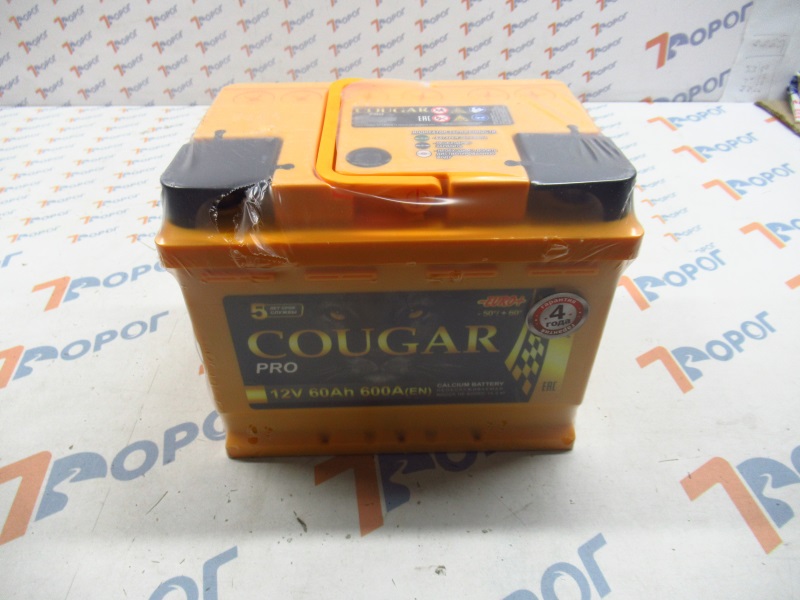 Аккумулятор COUGAR PRO 60Ач 600А (о/п) 242*175*190 мм 