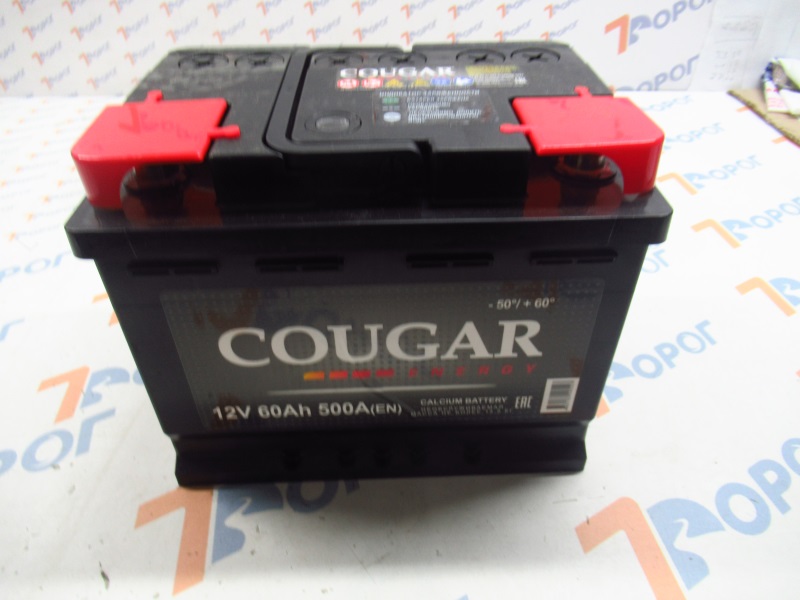 Аккумулятор COUGAR Energy 60Ач 500А (п/п) 242*175*190 мм 